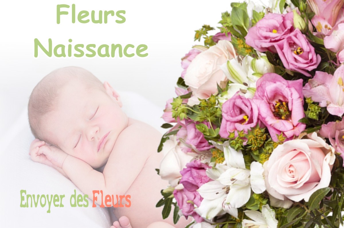 lIVRAISON FLEURS NAISSANCE à ECRILLE